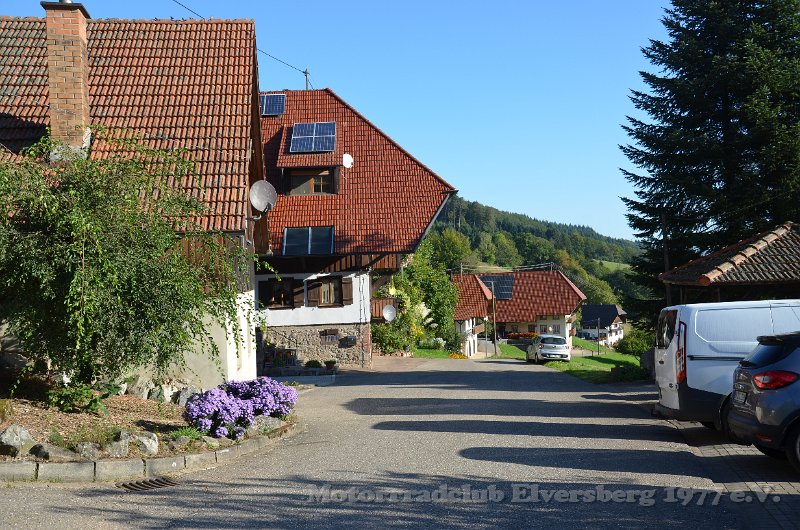 Schwarzwald 2021 - 039